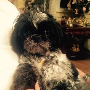 Meet your Posher, Barbara